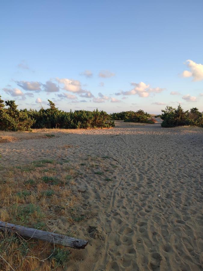 Domusauroom, Relax Nel Cuore Della Versilia - Pet Friendly Viareggio Kültér fotó