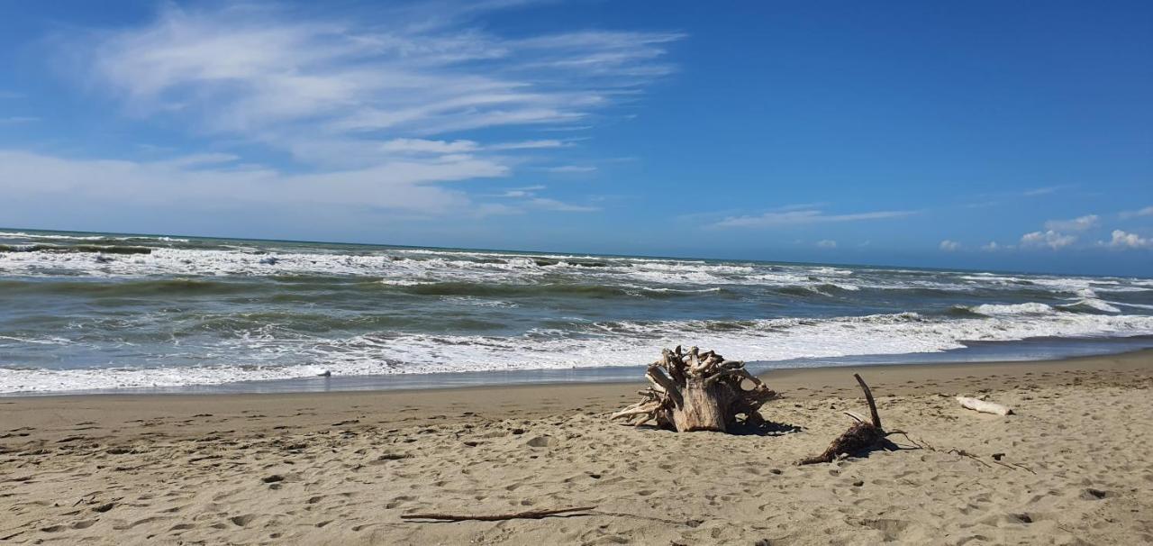 Domusauroom, Relax Nel Cuore Della Versilia - Pet Friendly Viareggio Kültér fotó